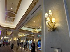 -澳门威尼斯人综合度假区
