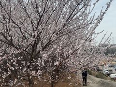 -前关湿地公园