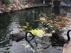 -湖鲜楼