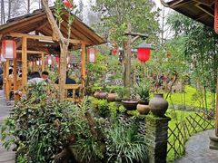 -青城甲(青城山店)