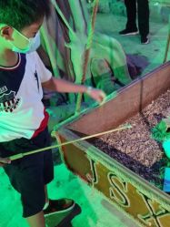 -酷嗒动物文化乐园(cutezoo西溪乐天城店)