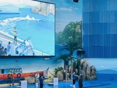 -临沂极地海洋王国