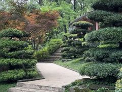 -南山植物园