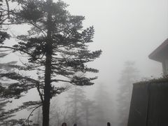 -峨眉山风景名胜区