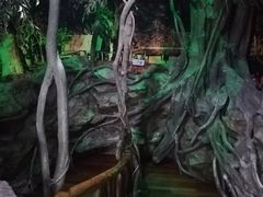 -上海大自然野生昆虫馆(东方明珠·爬宠昆虫探索中心)