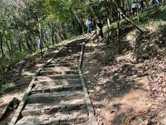 -上海佘山国家森林公园天马山园