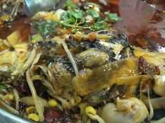 -重庆火锅水库鱼庄(南油店)