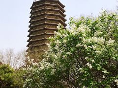 -玲珑塔公园