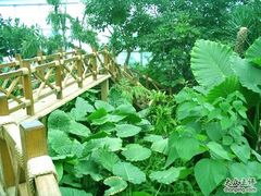 -石家庄市植物园
