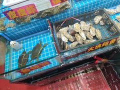 -上海阿潘舟山海鲜店(东宝兴路店)