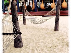 -半山半岛洲际度假酒店·观海廊