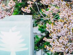 -北京理工大学(中关村校区)