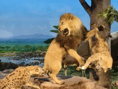 -国家自然博物馆