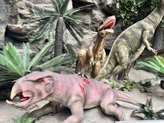 -国家自然博物馆