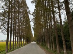 -嘉北郊野公园