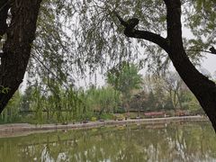 -团结湖公园