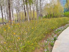 -中关村生命科学园