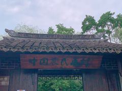 -金山农民画村-枫泾波兰倒置屋