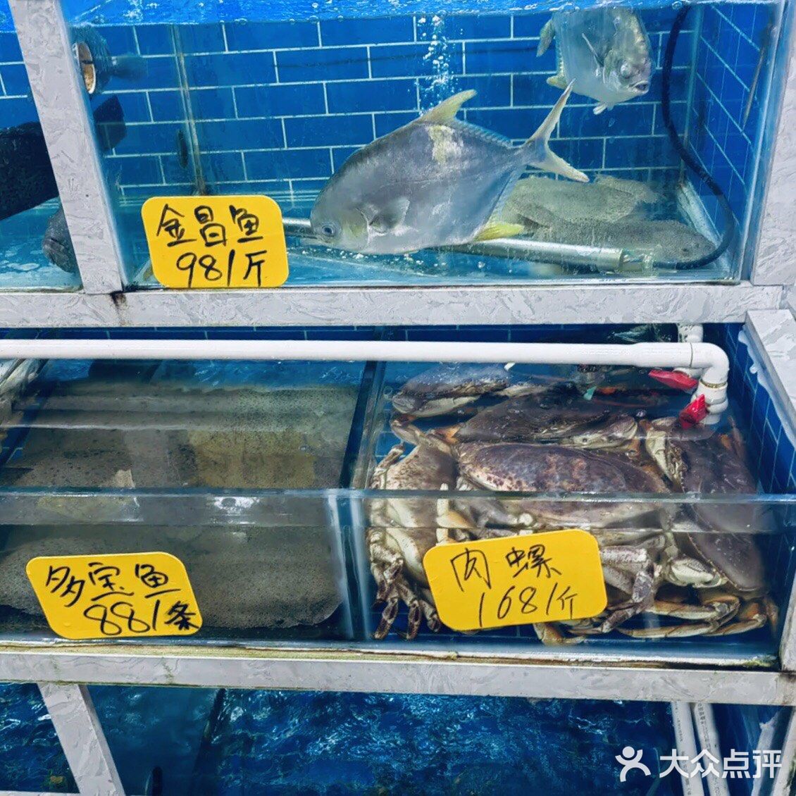 室内环境蛮大的，前面摆满海鲜，后面都是座位。服务