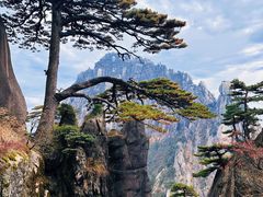 -黄山风景区