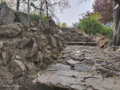 -大连植物园