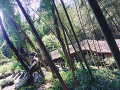 -严子陵钓台(富春江小三峡)