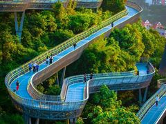 -福道