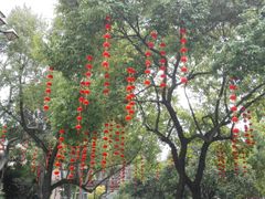 -常州古运河南大街文化旅游区-人民公园