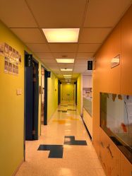 -杭州贝瑞斯美华妇儿医院·早孕·产检·儿科