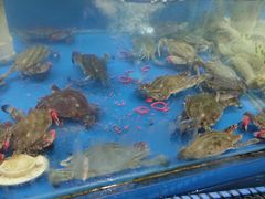 -老东镇啤酒屋海鲜加工·蒸汽海鲜·海鲜烧烤(台东店)