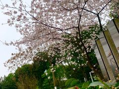 -百林公园-两江幸福广场