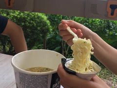 -合肥滨湖国家森林公园