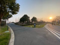 -贡湖湾湿地公园