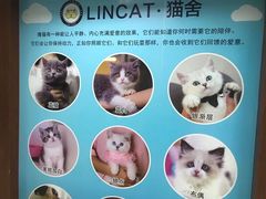 -lincat·猫舍(广州店)