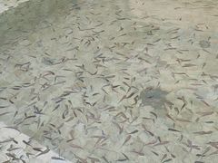 -春晖园度假酒店温泉