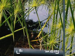 -映月湖公园