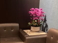 -曼格纳·曼芯馆(杨浦店)