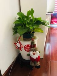 -美肤盾祛痘·问题肌头疗管理中心