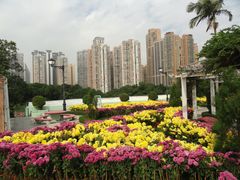 -龙环葡韵住宅式博物馆