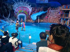 -烟台海昌鲸鲨海洋公园