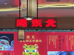 -遇东北林区铁锅炖(南开店)