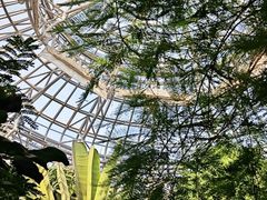 -郑州植物园