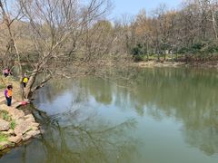 -WeLope紫金山探险公园