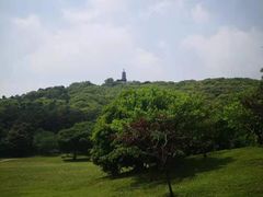 -苏州上方山国家森林公园