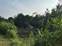 -青龙山国家森林公园