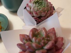 -锦府盐帮·李宅(领展购物广场中关村店)