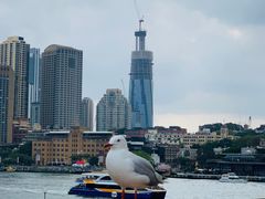 -悉尼歌剧院