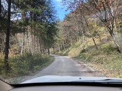 -朝阳沟