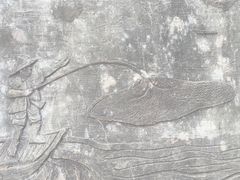 -巢湖姥山岛