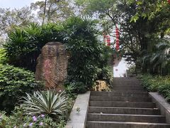 -广州市白云山风景名胜区